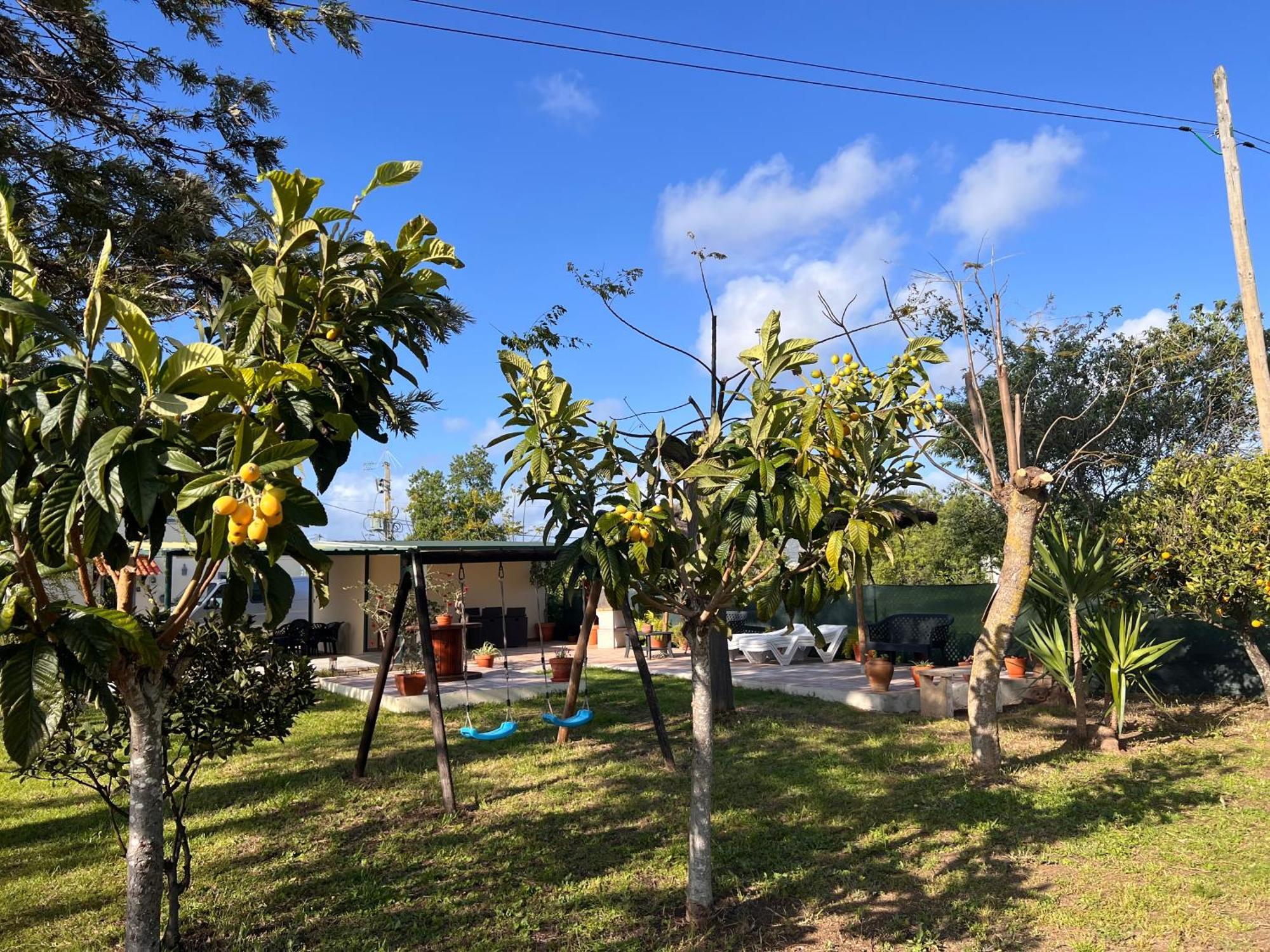 Quinta Dos Viegas Villa FAO Buitenkant foto
