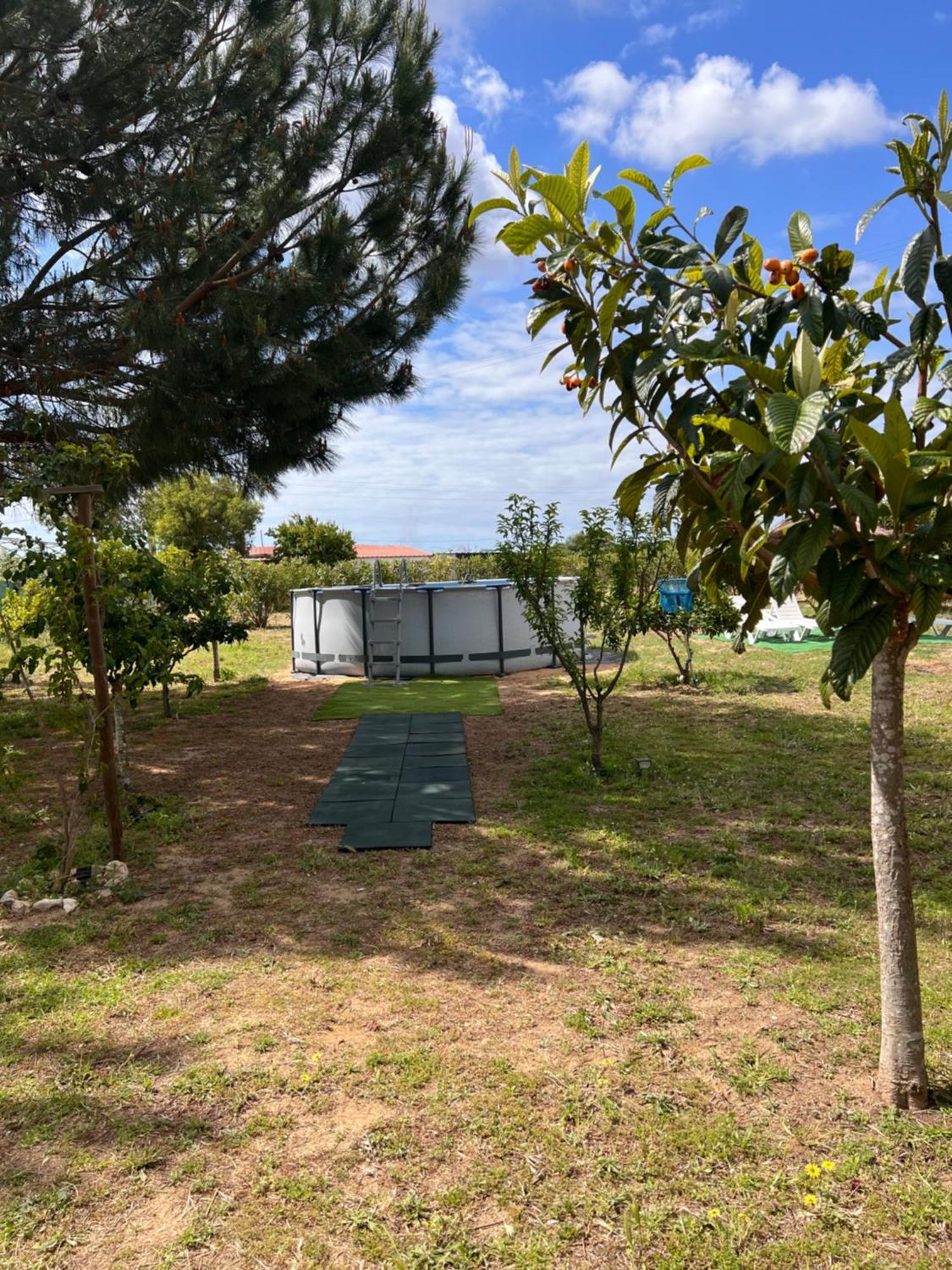 Quinta Dos Viegas Villa FAO Buitenkant foto